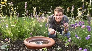 Biodiversité au jardin : 10 conseils simples que j’applique dès ce printemps