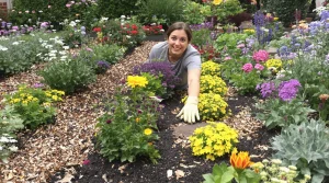 Comment créer un massif de vivaces sans entretien pour structurer le jardin dès le printemps