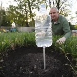Pourquoi de plus en plus de jardiniers récupèrent cet objet de la poubelle avant de le planter dans la pelouse