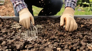 Sol compact au printemps ? Ce geste tout simple l’aère vite et le rend prêt à planter